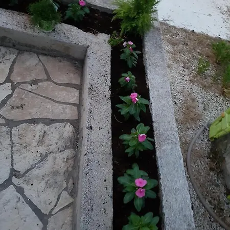 Apartment Ariel Vir